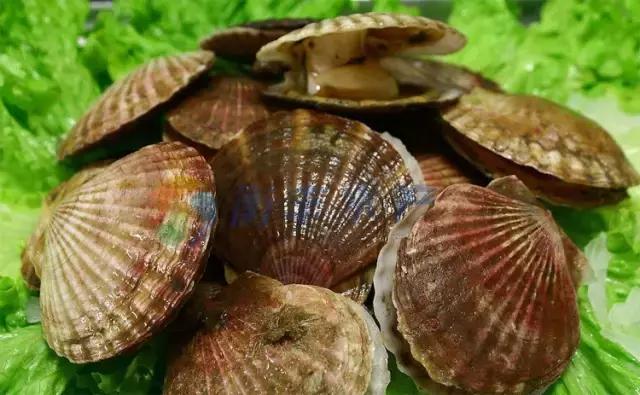 又到吃海蛎子的季节,又到了吃海鲜的季节生蚝