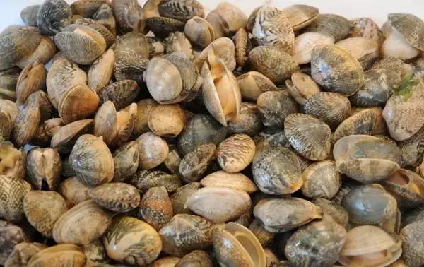 又到吃海蛎子的季节,又到了吃海鲜的季节生蚝