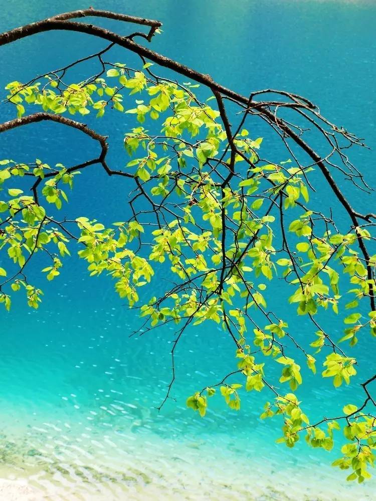 金山岭长城最美时间,金山岭长城景色哪段最美