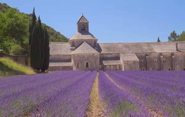 一年两次旅游你会去哪里,如果你去旅游你打算去哪里带什么
