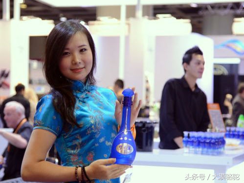 香港人喝啥啤酒,香港人为什么喜欢喝酒