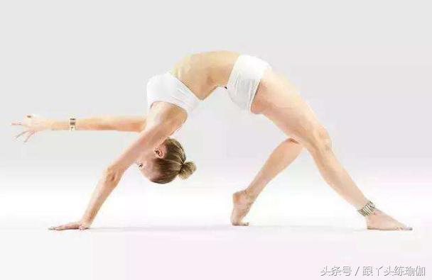 瑜伽七支坐法,瑜伽17个经典视频