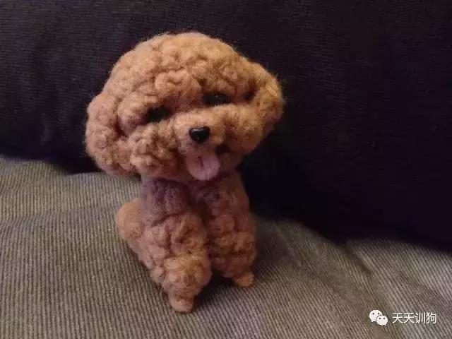 狗狗毛发褪色怎么回事如何解决,比熊狗狗鼻子褪色什么原因