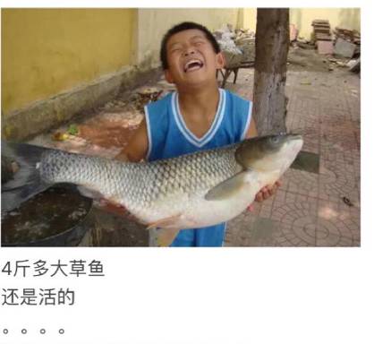 七夕情人节送礼指南直男,七夕告急直男送礼自救宝典