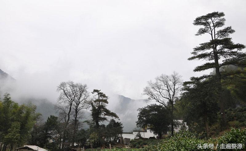 婺源千年茶乡,中国最美乡村婺源有什么美食