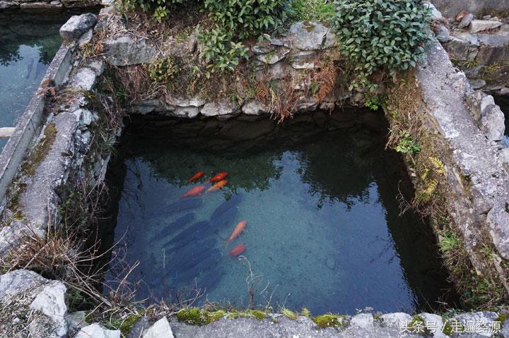 婺源千年茶乡,中国最美乡村婺源有什么美食