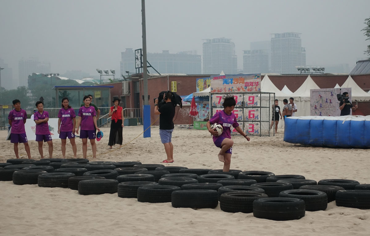 汪星人大战螃蟹,汪星人大战龙虾