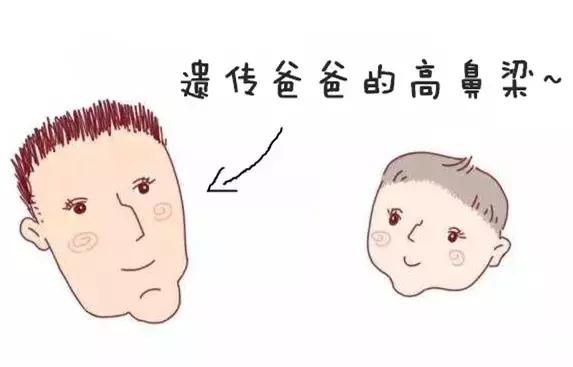 宝宝鼻梁塌捏捏会变高吗,小孩鼻梁捏得高吗