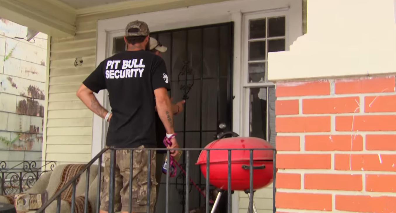 涨奶的小狗,涨奶狗