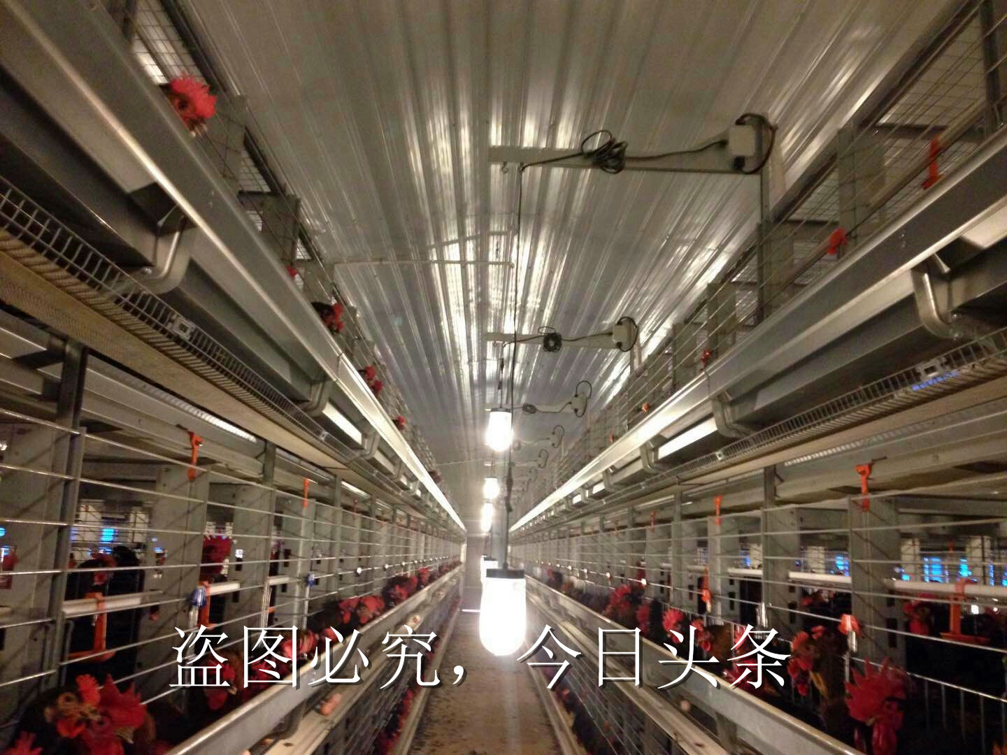 养殖场屋顶隔热保温防腐喷涂,养殖场保温隔热喷涂