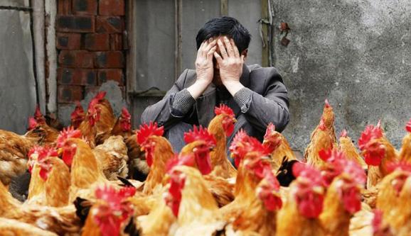 养殖场屋顶隔热保温防腐喷涂,养殖场保温隔热喷涂