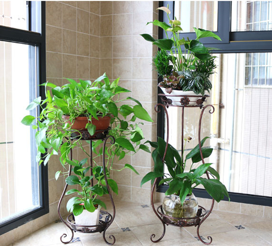 简单漂亮的铁艺花架,铁艺花架放什么好看