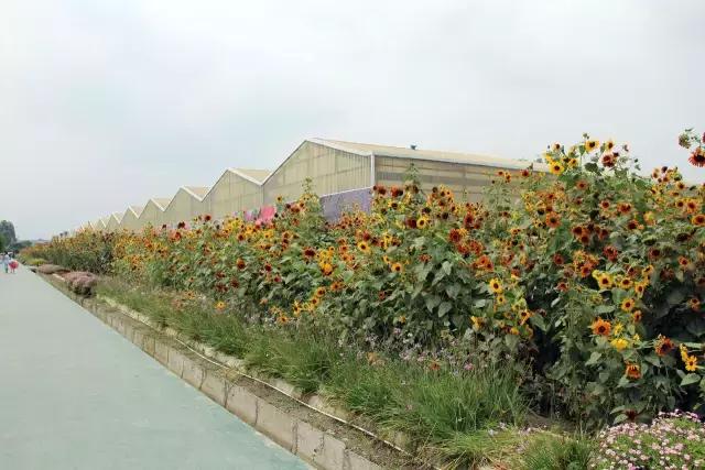 成都亲子农庄推荐,成都生态农庄推荐