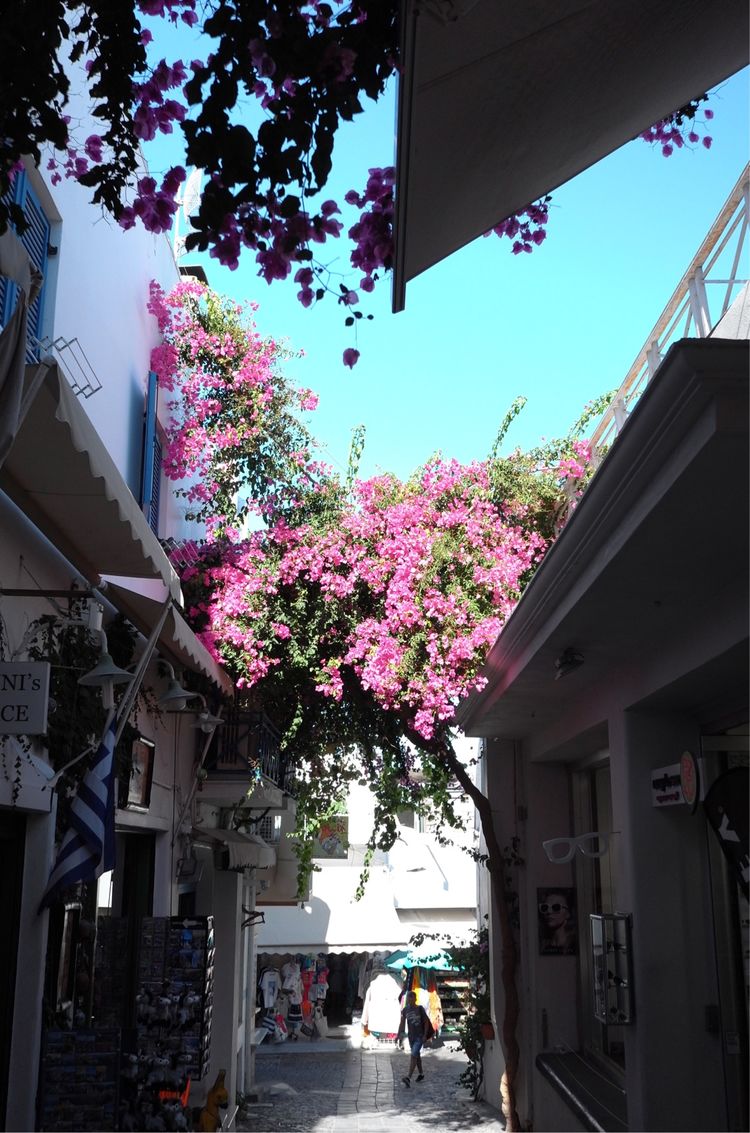 走进希腊的旅行,重温我的希腊旅游点滴