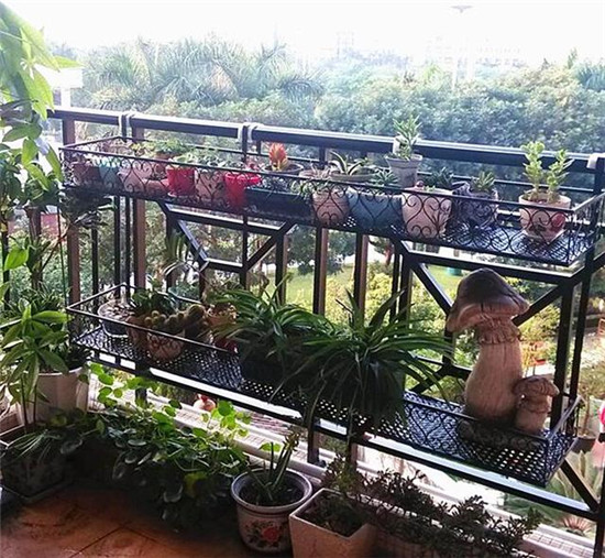 简单漂亮的铁艺花架,铁艺花架放什么好看