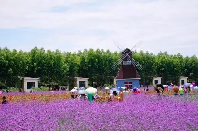 成都亲子农庄推荐,成都生态农庄推荐