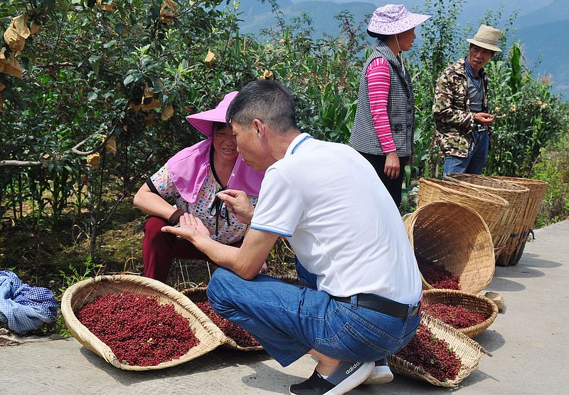 川菜店现状,川菜现状
