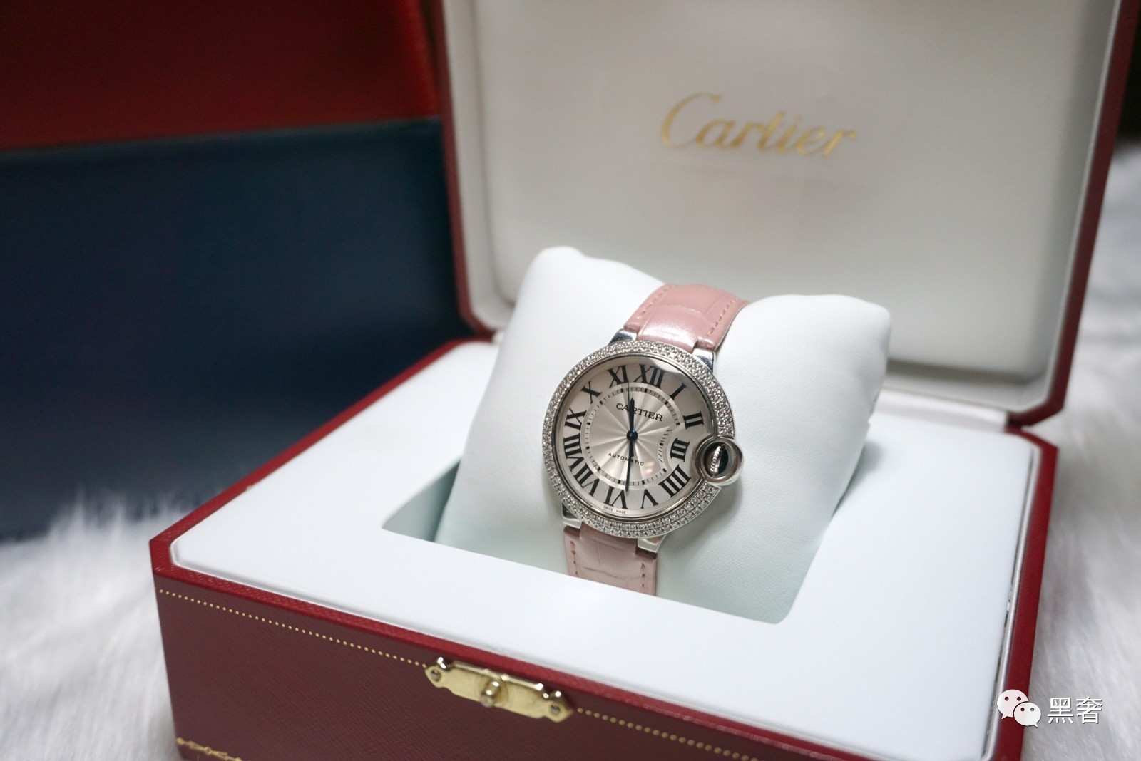 gucci猪年手表,gucci蜜蜂钢带手表