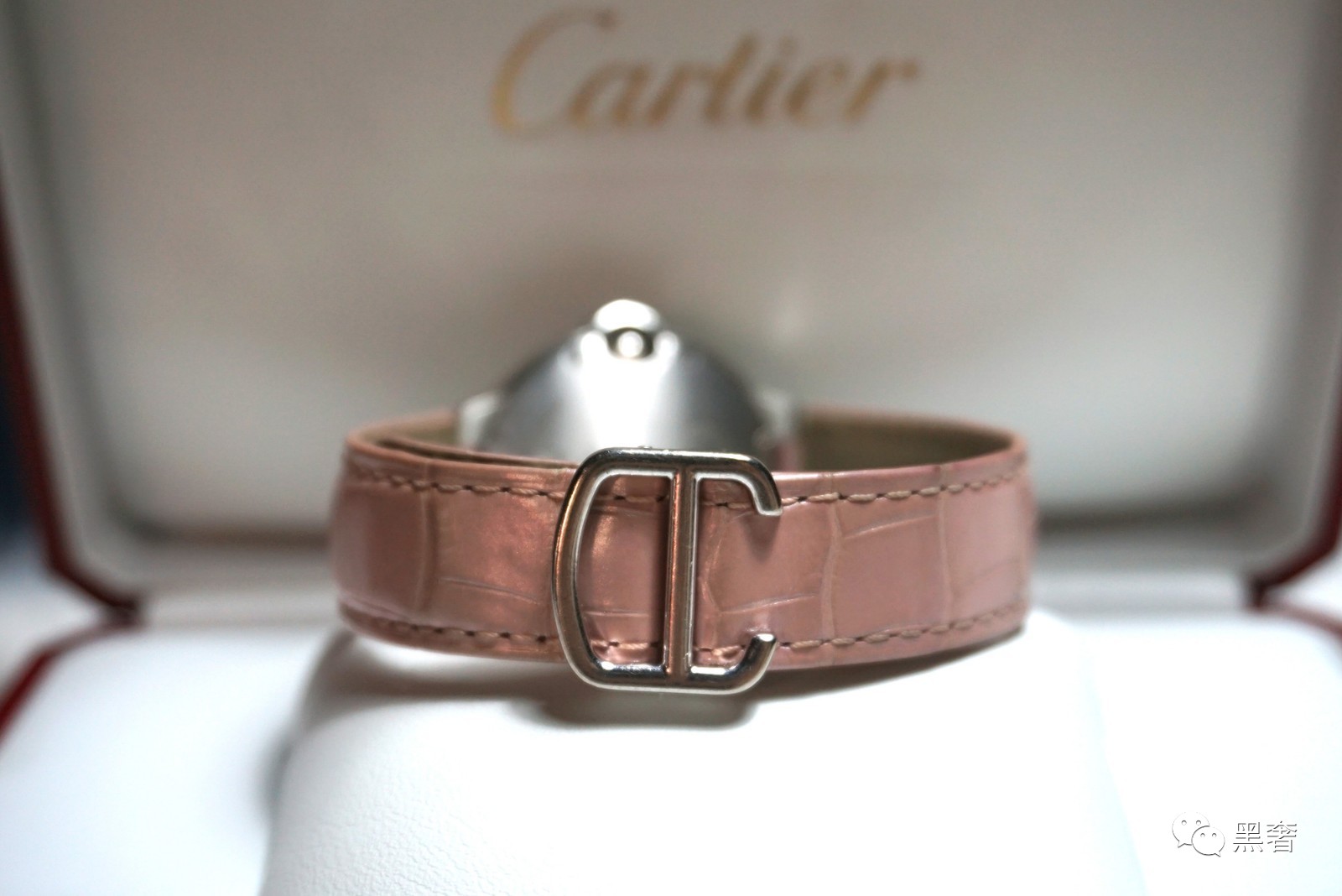 gucci猪年手表,gucci蜜蜂钢带手表