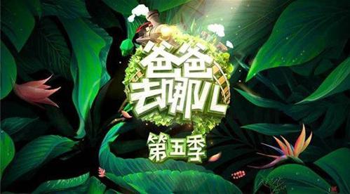 爸爸去哪儿第五季谁最强,爸爸去哪儿第5季最强阵容