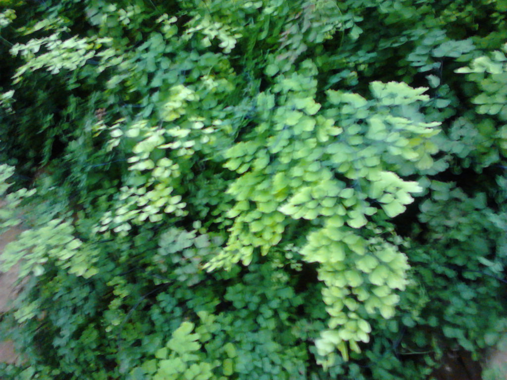 有一个追星的老婆怎么办,有个追星的老婆的好处