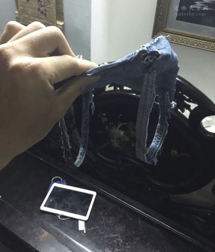 用旧衣服给幼狗做衣服教程,用旧衣服帮狗做狗窝