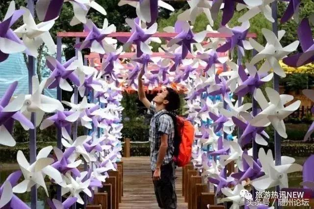 七夕约起！神农国际大酒店首届“七彩风车花海节+梦幻冰雪泡泡秀