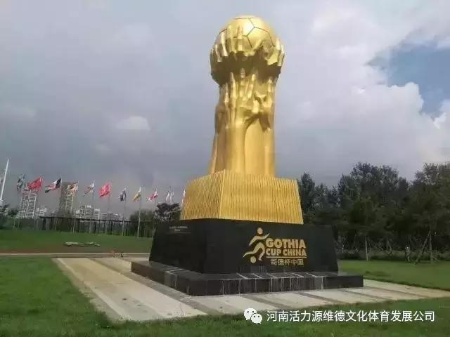 河南维德青少年足球队,维德青少年足球队