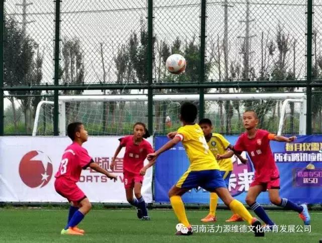 河南维德青少年足球队,维德青少年足球队