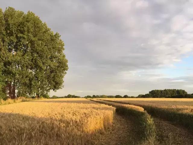 精酿旅行,精酿之旅vlog