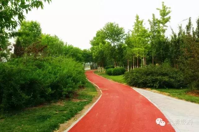 说走就走吧自驾环游,说走就走一起出发去旅行