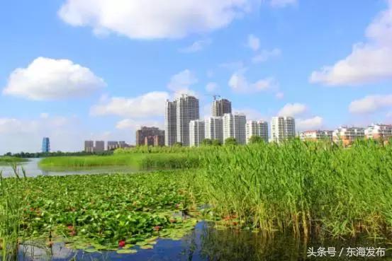 文明创建创文路上最美的风景,创文之窗创建全国文明城市倡议书