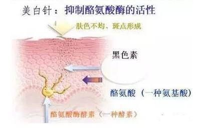 李圣经与南柱赫分手后的互动,李圣经南柱赫分手原因