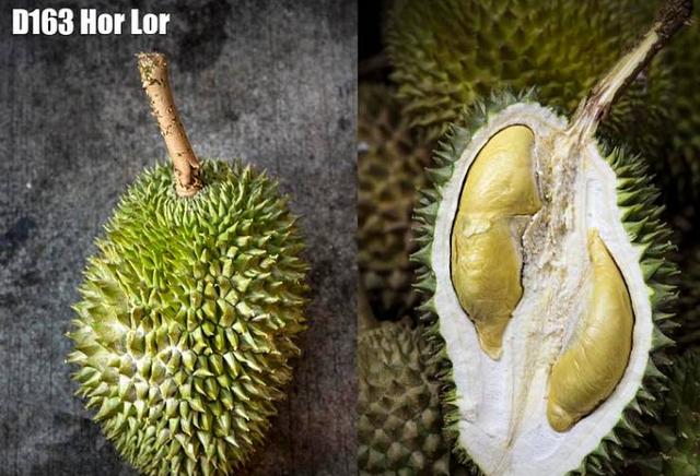 马来西亚各种榴莲名称,马来榴莲品种介绍