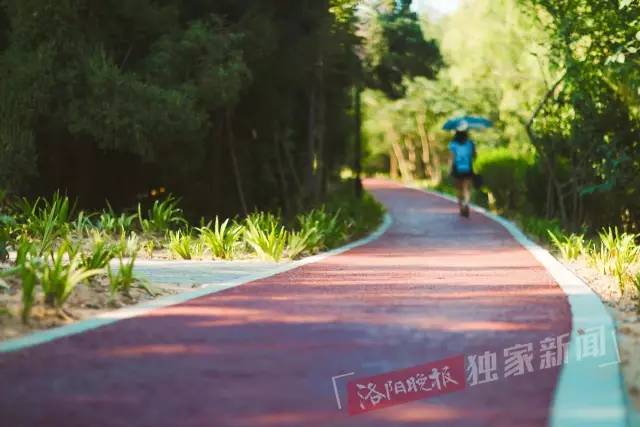 洛阳很美的公园,洛阳新增两个公园