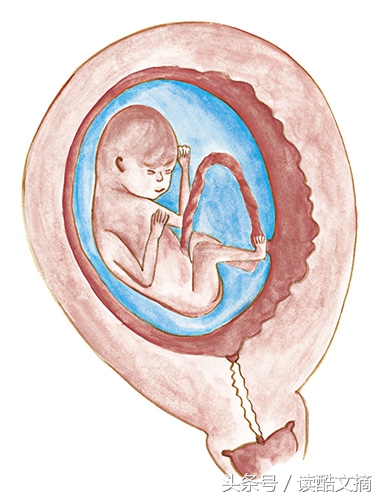 唐氏筛查6类人群,唐氏筛查孕妇详解