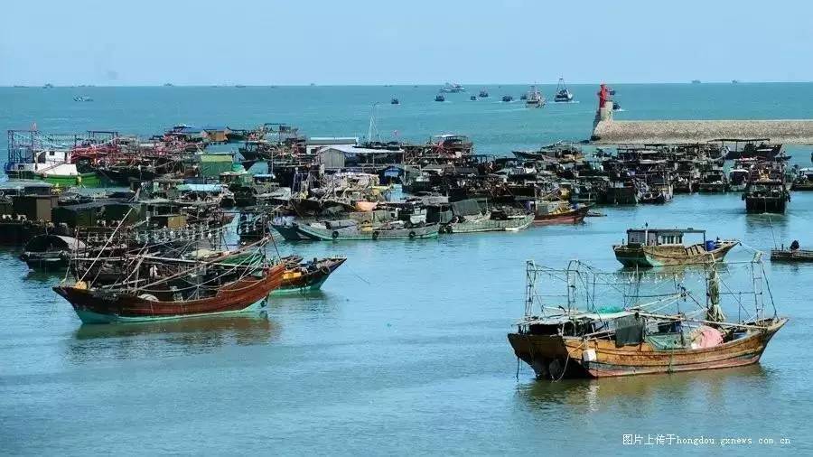 开海不开海去饭店吃海鲜有区别吗,开海了南宁去哪里买海鲜