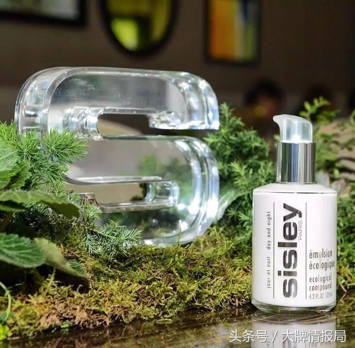 罗子君职场逆袭视频,罗子君独立自强