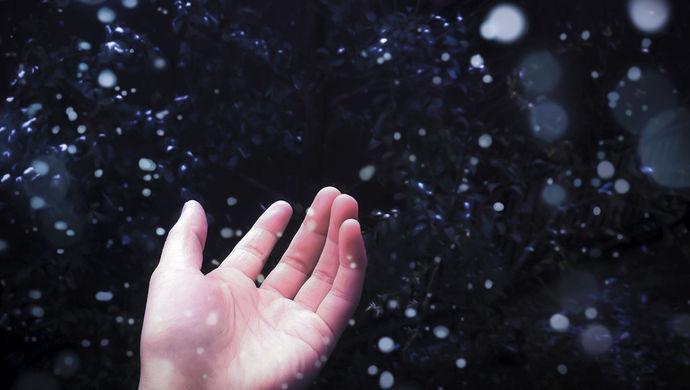 李敖台湾四大美人,李敖最漂亮的女人下集