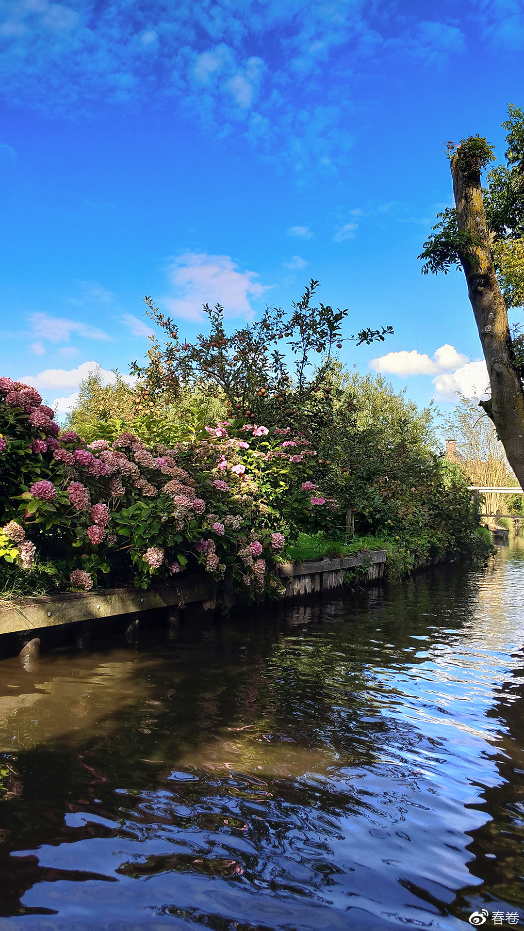 vivoxplay6拍照样张,vivoxplay6图片及参数