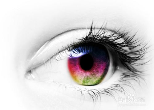 李敖台湾四大美人,李敖最漂亮的女人下集