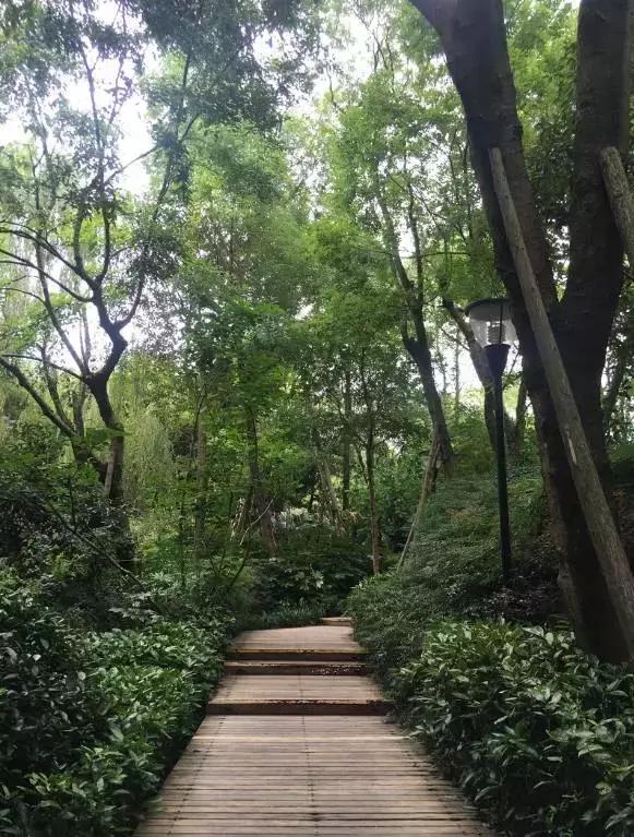 四川有没有凉快的地方,四川很凉快吗