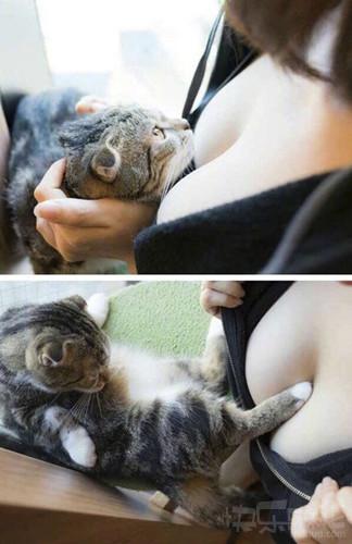 王楠微笑,王楠全程微笑享受比赛