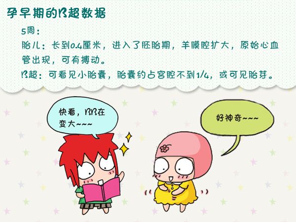 b超单你看懂了吗,怎样看懂b超单有没有问题