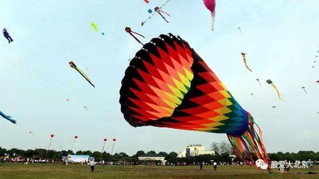 9月河北人去上海半价！上海64家景点全部半价！连迪士尼都降了