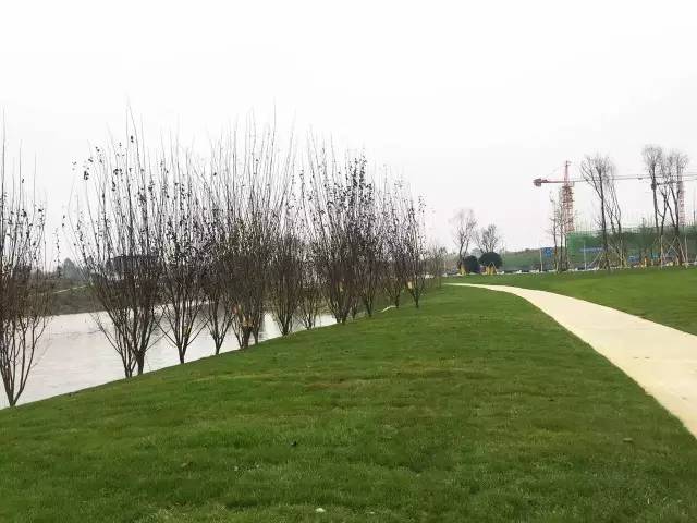 仁寿县土拍最新消息,仁寿县基准地价