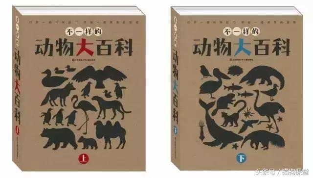 在动物园如何给孩子科普动物知识,7-12岁儿童动物世界科普