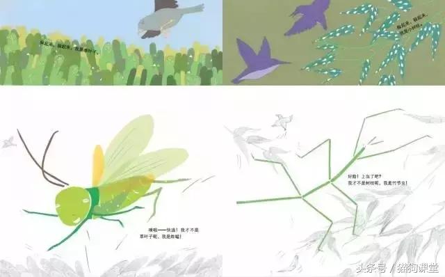 在动物园如何给孩子科普动物知识,7-12岁儿童动物世界科普