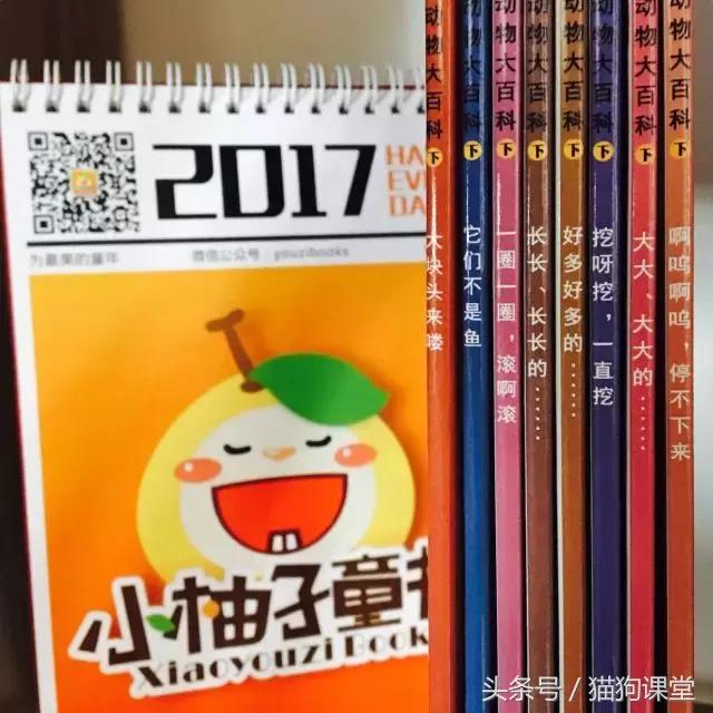 在动物园如何给孩子科普动物知识,7-12岁儿童动物世界科普