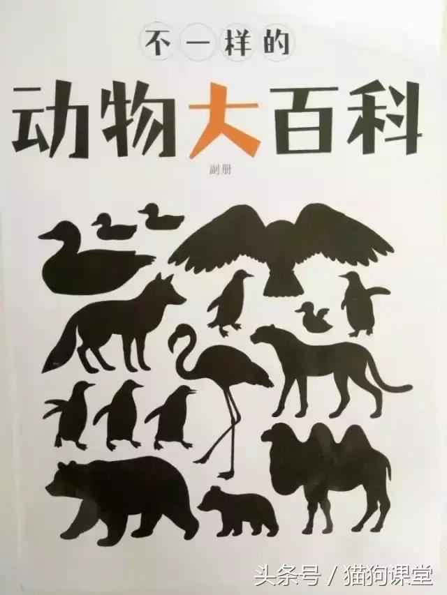 在动物园如何给孩子科普动物知识,7-12岁儿童动物世界科普